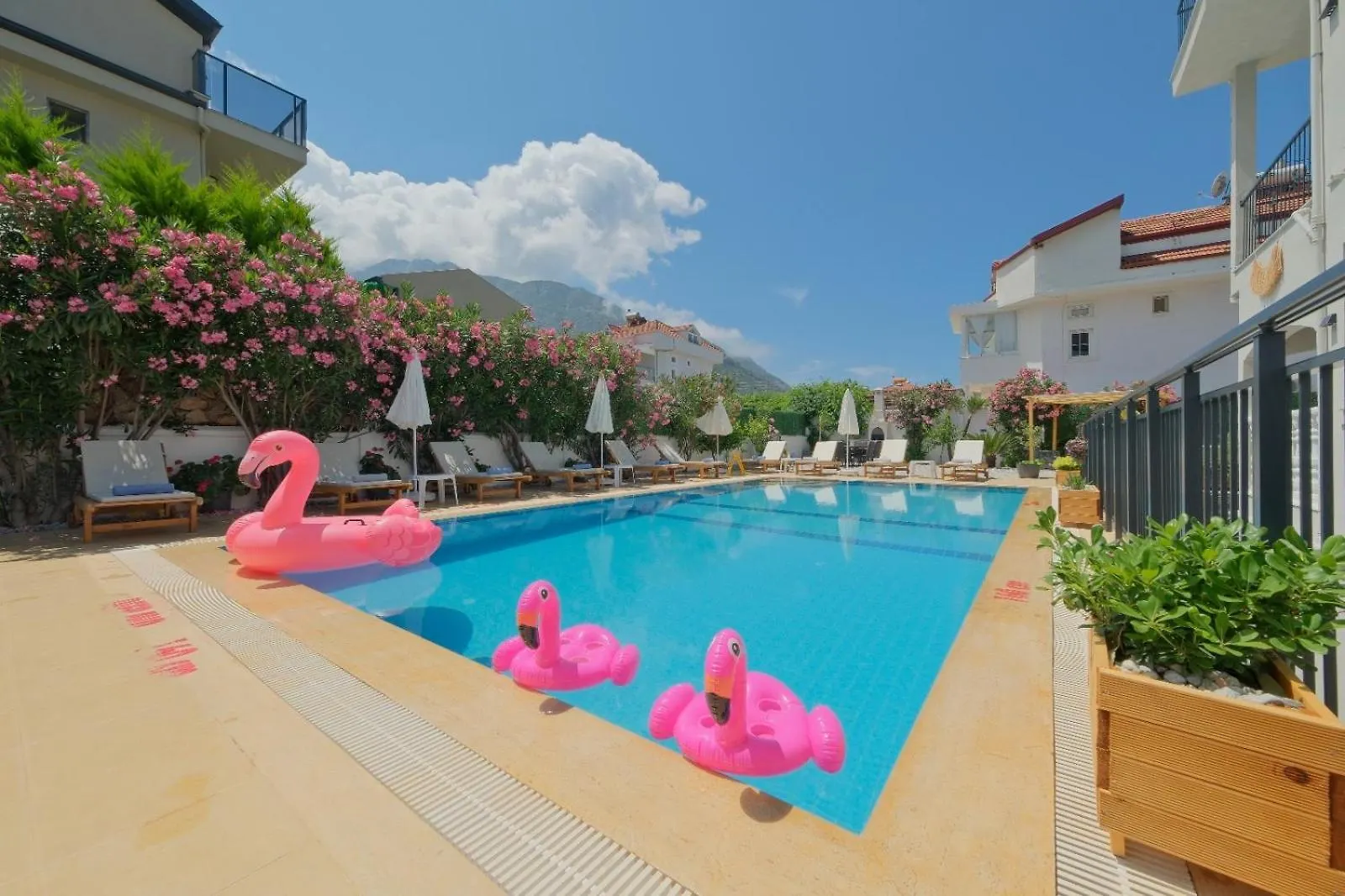 Tetra Clover Suites Fethiye